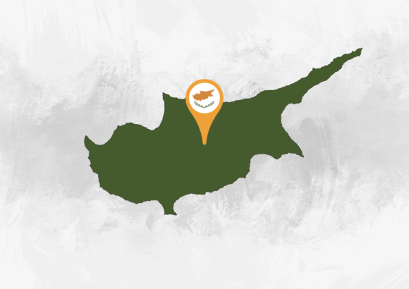 INTELIEXPRESS’s branches in Cyprus
